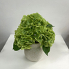 Artificial Flower Stem Green Hydrangea