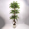 Artificial Ficus Tree (Faux Weeping Fig / Ficus Benjamina Tree with Lush Evergreen Foliage)