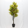 Artificial Croton Tree (Faux Codiaeum variegatum Tree with Iconic Variegated Tropical Leaves)