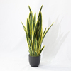 Artificial Cactus Succulent Tree (Faux Snake Plant / Sansevieria with Iconic Striped Leaves)