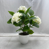 Artificial Flowering Tree (Faux Hydrangea Tree / Tropical Ornamental Flower Tree)
