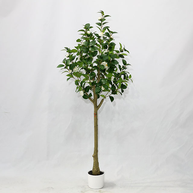 QH27G3018 1.5米拆装小花茶玫花.JPG