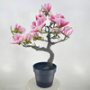 Artificial Magnolia Tree (Faux Magnolia grandiflora / Southern Magnolia Tree)