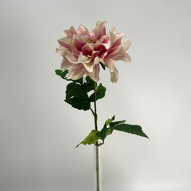 Single Head Artificial Dahlia, Blush Pink Gradient (Café au Lait Style)