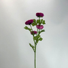 4-Head Single Stem Artificial Ranunculus, Deep Magenta Purple
