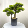 Artificial Bonsai Tree (Faux Pine / Cypress / Podocarpus Bonsai)