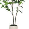 Artificial Green Leafy Tree in Black Plastic Pot