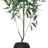 Artificial Olive Tree in Black Plastic Pot