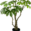 Artificial 47-inch Golden Twig, Unique Trunk, Lifelike Lush Leaves, Home Office Restaurant Plant Bonsai