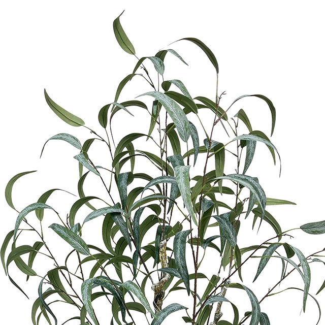 Artificial Eucalyptus Tree 48inch Faux Eucalyptus Plants Large Fake Plant Suitable for Living Room Home Office Housewarming Party Indoor and Outdoor Decor