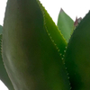 Artificial Agave Plant 23.6-inch Faux Agave Tree with Black Pot