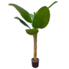 Artificial Banana Tree 63Inch Banana Leaf Plant, Tropical Style Large Artificial Plant