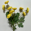 Artificial Long Stem Bright Yellow Ranunculus, Multi-Bloom with Green Foliage