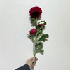 3-Head Single Stem Artificial Ranunculus, Vibrant Magenta Pink with Green Center