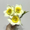 3-Head Single Stem Artificial Daffodil, Cream White with Yellow Ruffled Center