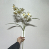 Artificial Long Stem Pure White Daffodil, Multi-Bloom with Pale Yellow Ruffled Center