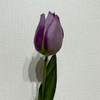 Artificial Lavender Purple Tulip Stem