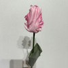 Artificial Tulip Stem Frilly Blush Pink Parrot