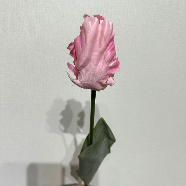 Artificial Tulip Stem Frilly Blush Pink Parrot