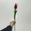 Artificial Deep Magenta Tulip Stem