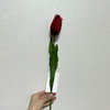 Artificial Deep Red Tulip Stem