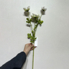Artificial White & Green Anemone Stem