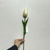 Artificial Cream White Tulip Stem
