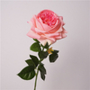 Artificial Austin Rose Stem Bundle (10 Color Options)