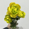 Artificial Bright Green-Yellow Multi-Bloom Ranunculus Stem