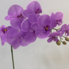 Artificial Phalaenopsis Orchid Stem Bundle (13 Color Options)
