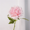 Artificial Peony Flower Stem Bundle (Updated 16 Color Options) Product Name