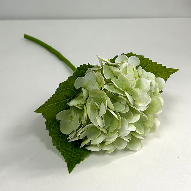 QH26327054 008.jpg