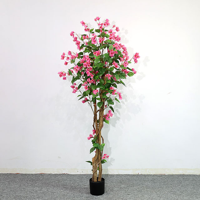 QH27G3188 180cm真杆拆装三角梅.JPG