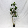  Artificial Ficus Tree (Cordyline Fruticosa / Brazilian Iron Tree)