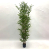 Artificial Bamboo Tree (Faux Lucky Bamboo / Phyllostachys Bamboo Tree)