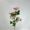 4-Head Single Stem Artificial Ranunculus, Blush Pink Ombré
