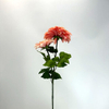 2-Head Single Stem Artificial Dahlia, Peach Blush Ombré