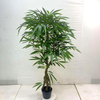 Artificial Ficus Tree (Faux Long-Leaf Ficus / Bamboo Ficus Tree)