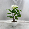 Artificial Flowering Tree (Faux Hydrangea Tree / Tropical Ornamental Flower Tree)