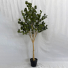 Artificial Eucalyptus Tree (Faux Silver Dollar Eucalyptus Tree with Iconic Round Leaves)