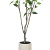 Artificial Green Leaf Tree in Black Plastic Pot