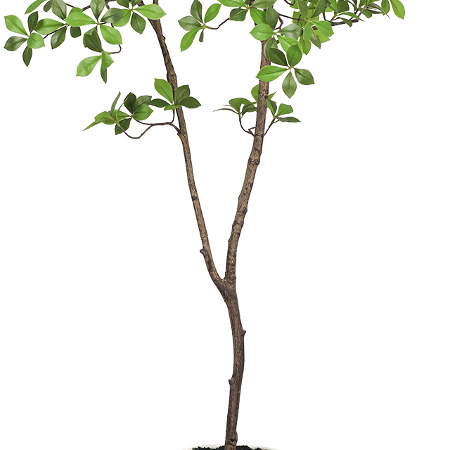 Artificial Ficus Tree in Black Plastic Pot