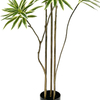 Artificial 72inch Dracaena Reflexa Plants for Indoor & Outdoor with Pot (182 Cm Tall）