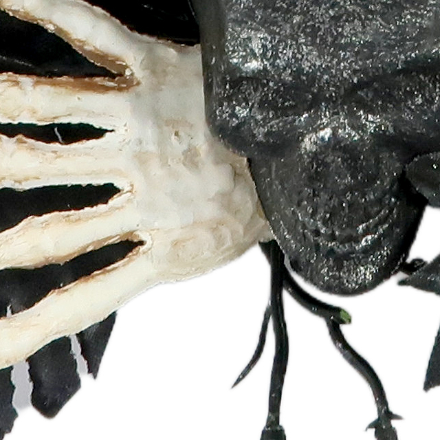 Artificial 12-inch Black And White Skull Halloween Garland Gothic Black Garland Decoration