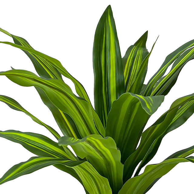 Artificial 20inch ultra-wide dragon blood tree simulation dragon blood tree