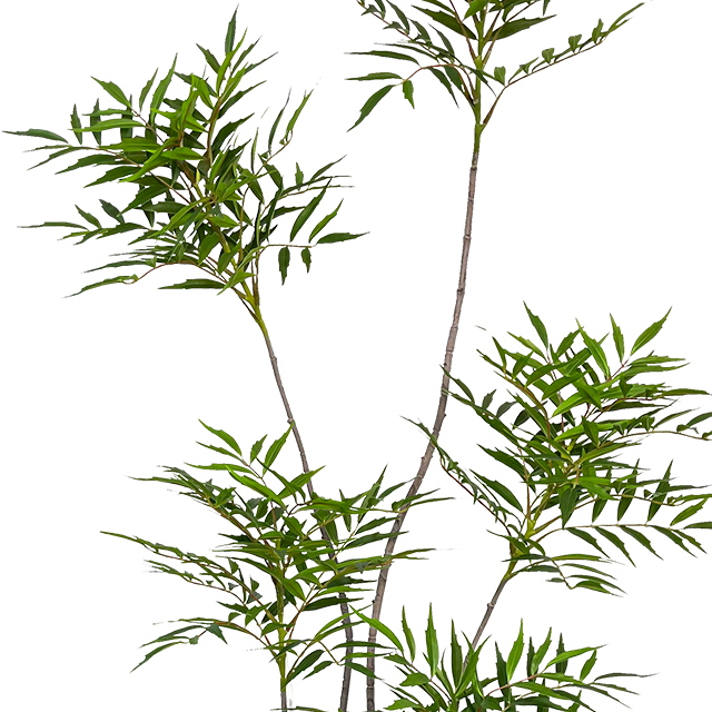 Artificial Mahonia Fortunei Tree 84inches Tall Faux Floor Plants For Home Office Decor