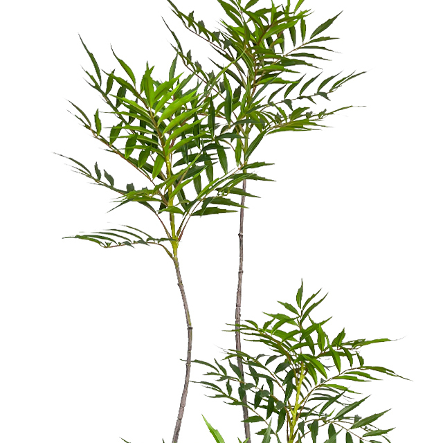 Artificial Mahonia Fortunei Tree,84inches Tall Green Plants for Office Home Living Room Porch Decor