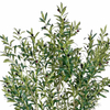 Artificial Olive Tree 98.4inch Fake Olive Silk Tree Large Faux Plants Indoor Tall Faux Olive Tree with White Planter