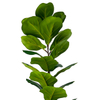Artificial 51inch Ficus Lyrata Plants Trees In Pot, Tall Fiddle Leaf Fig Trees
