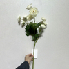 Artificial Long Stem Pure White Ranunculus, Multi-Bloom with Green Foliage